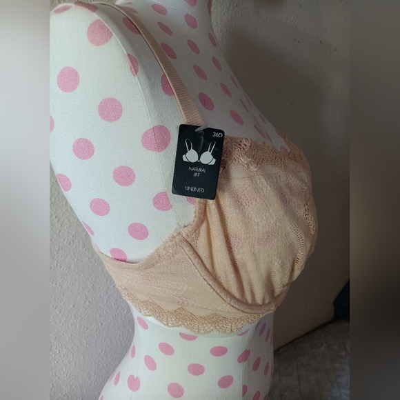 Heidy  Klum Cream Intimates Bra for Comfort and Style - Picture 4 of 10